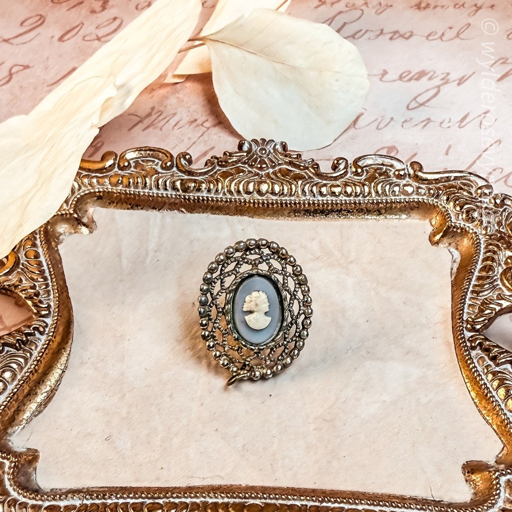 Silver Tone Brooch with a Cameo